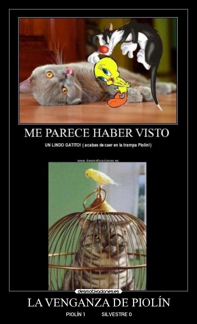 LA VENGANZA DE PIOLÍN -