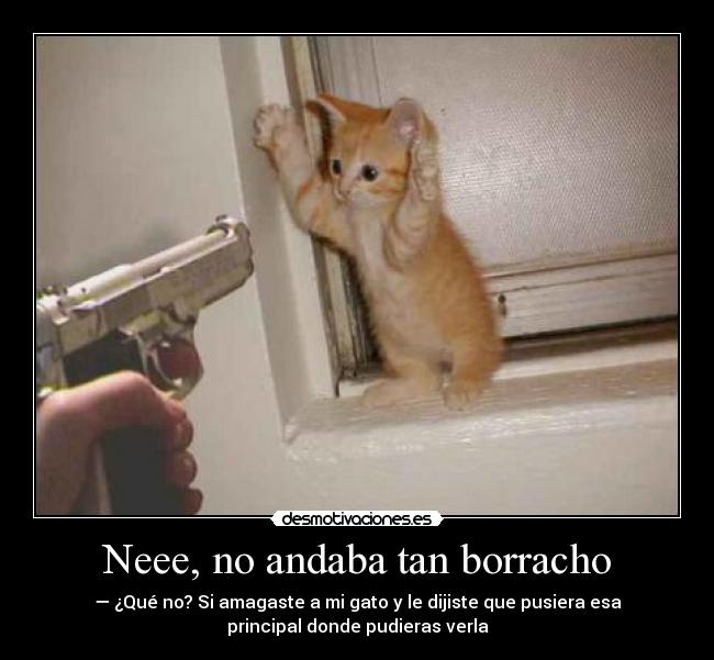 Neee, no andaba tan borracho - 