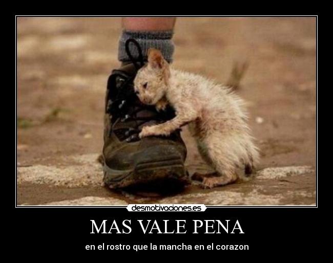 MAS VALE PENA - en el rostro que la mancha en el corazon