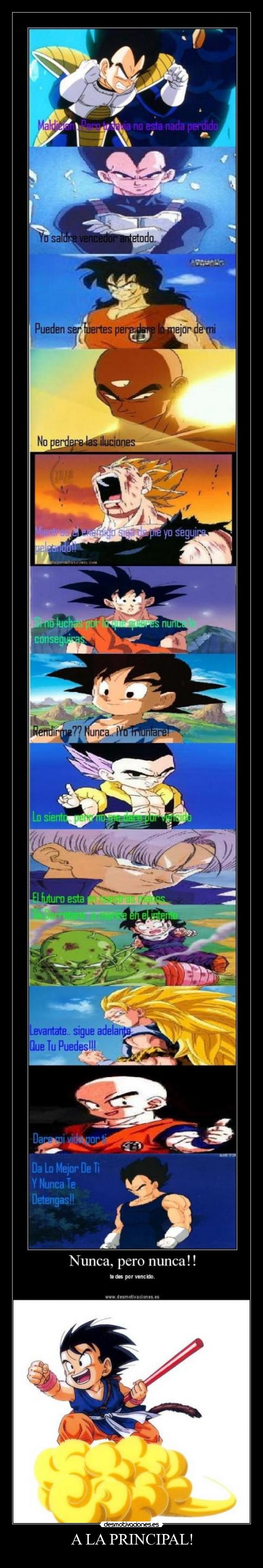 carteles dbz dragon ball desmotivaciones