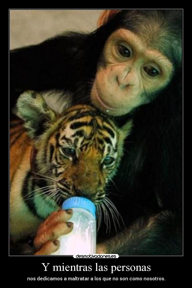 Y mientras las personas - 