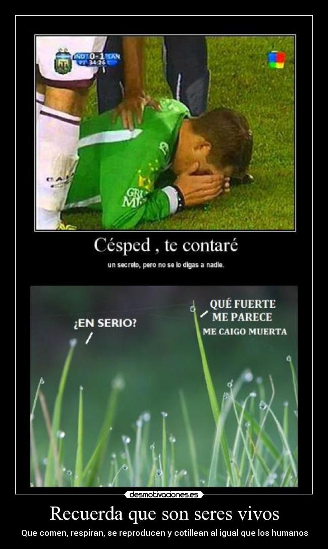 carteles cesped futbol desmotivaciones