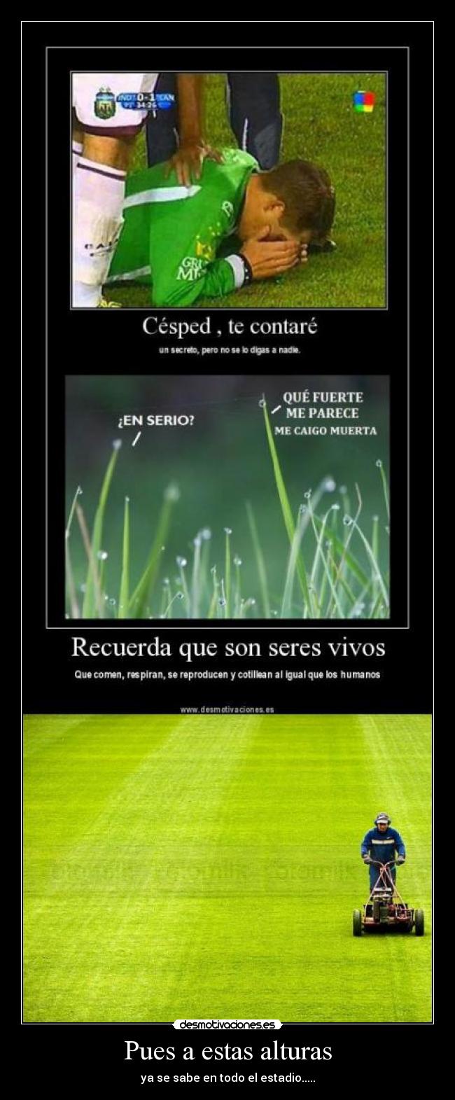 Pues a estas alturas - ya se sabe en todo el estadio.....