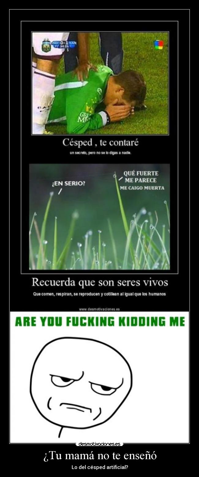 ¿Tu mamá no te enseñó - Lo del césped artificial?