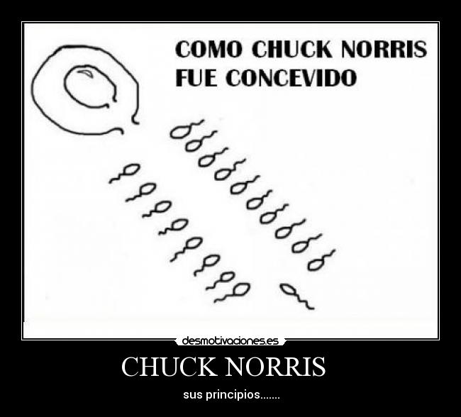 CHUCK NORRIS   - 