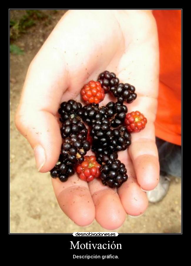 Motivación -