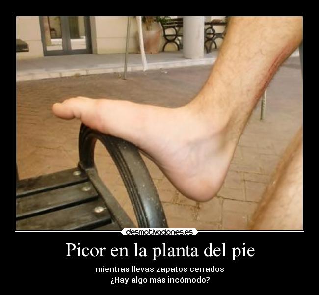 Picor en la planta del pie - mientras llevas zapatos cerrados
¿Hay algo más incómodo?