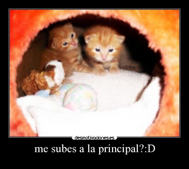 me subes a la principal?:D - 
