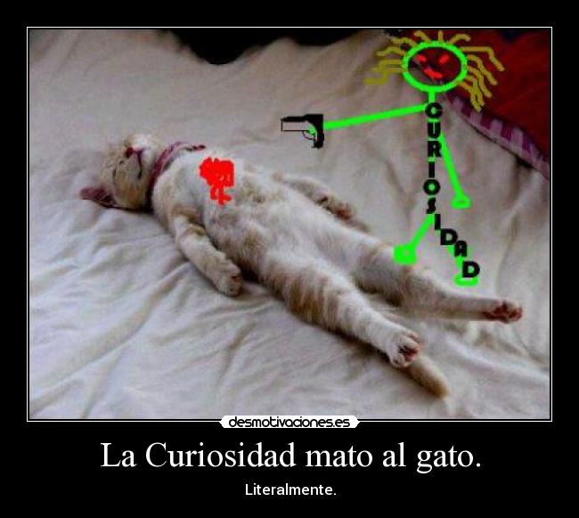 La Curiosidad mato al gato. - Literalmente.
