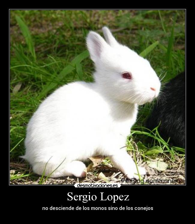 Sergio Lopez - 