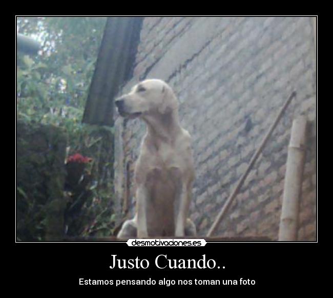 Justo Cuando.. -