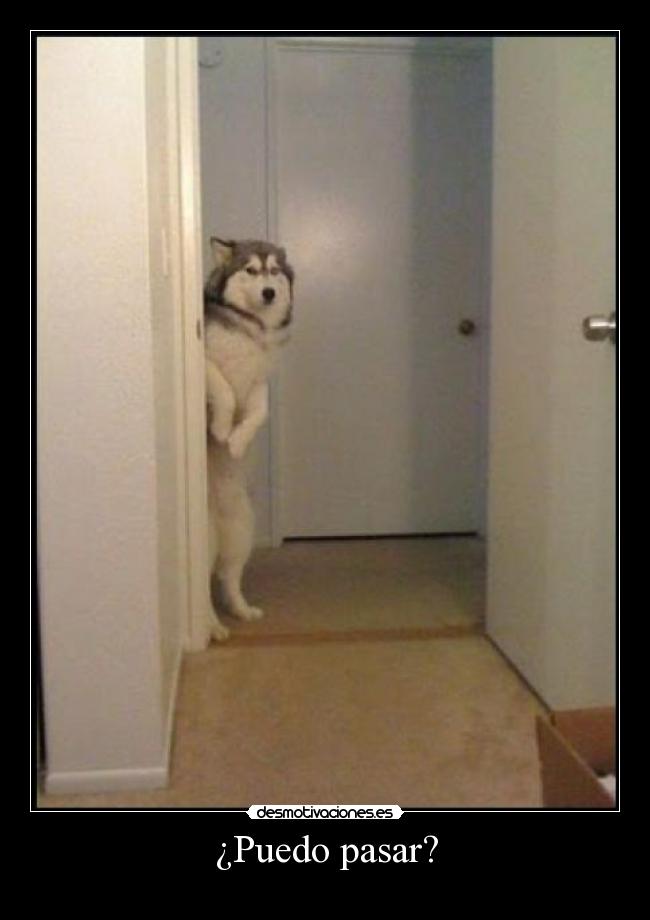 ¿Puedo pasar? -