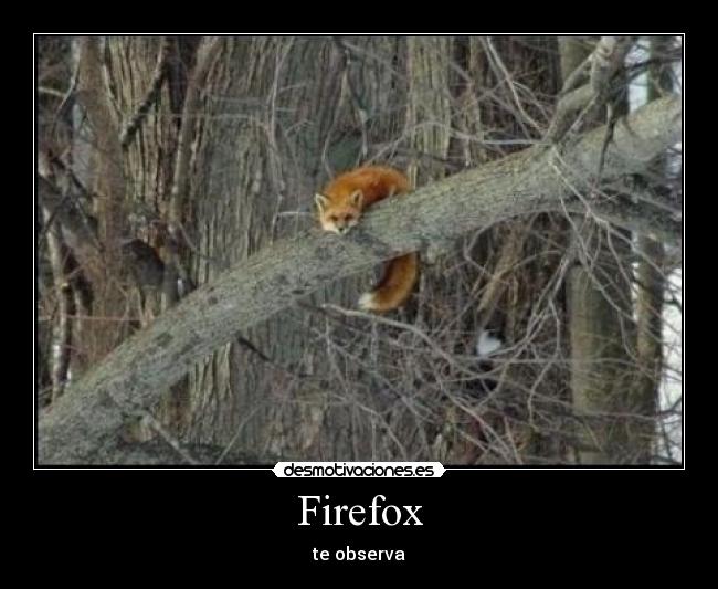 Firefox - 
