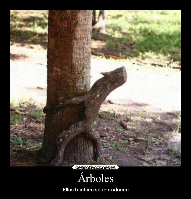 Árboles -