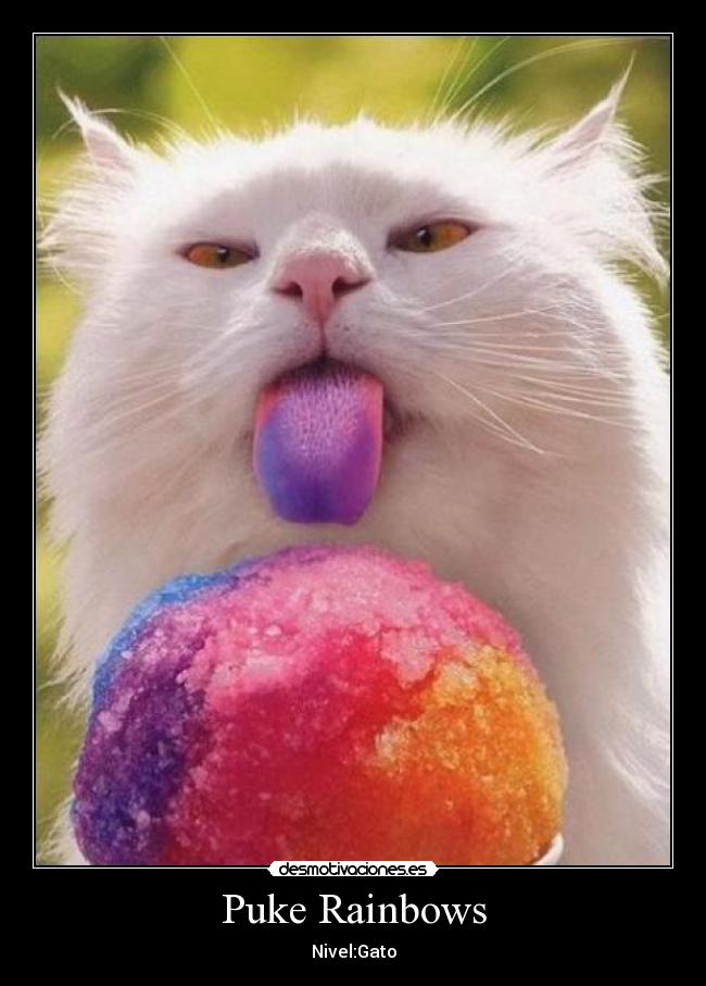 Puke Rainbows - Nivel:Gato
