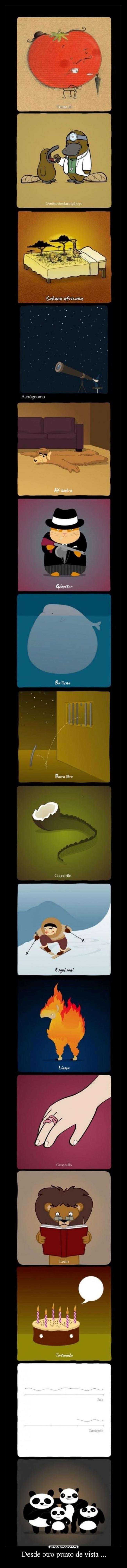 Desde otro punto de vista ... -