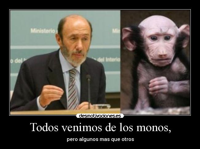 carteles todos venimos los monos desmotivaciones