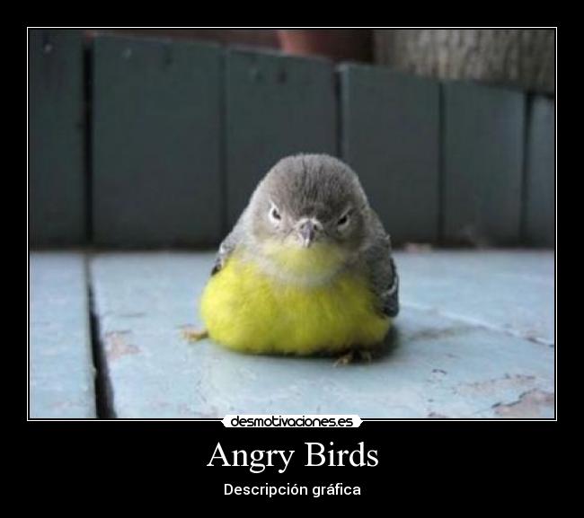 Angry Birds -