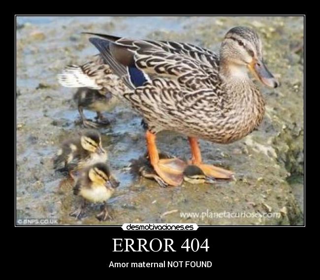 ERROR 404 - 