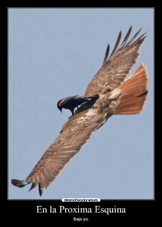 carteles lol desmotivaciones