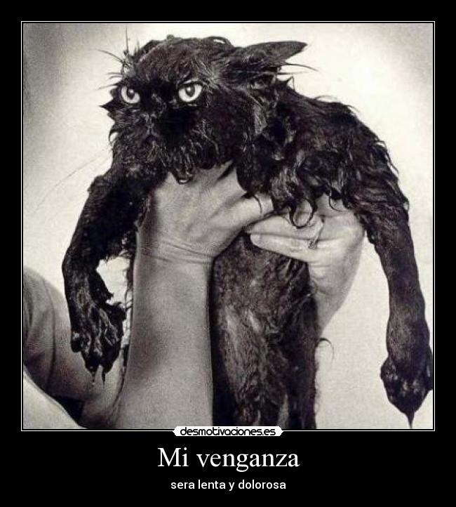 Mi venganza -