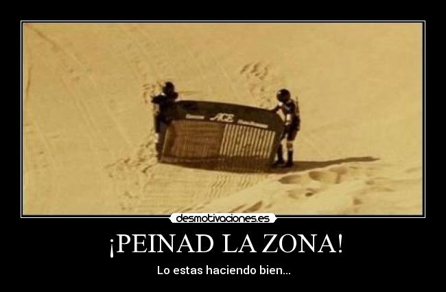 ¡PEINAD LA ZONA! - Lo estas haciendo bien...