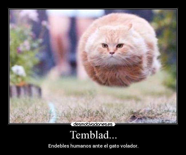 Temblad... - 