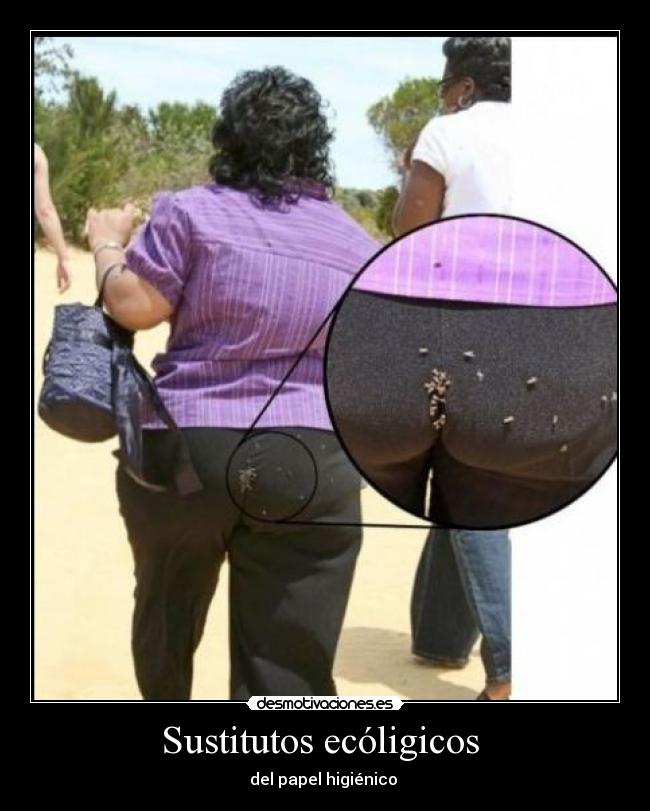 Sustitutos ecóligicos -