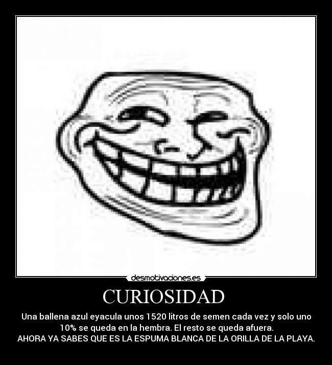 CURIOSIDAD -