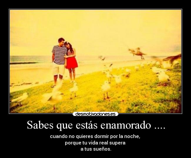 Sabes que estás enamorado .... - cuando no quieres dormir por la noche, 
porque tu vida real supera 
a tus sueños.