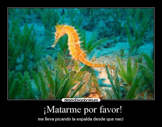  ¡Matarme por favor! - 