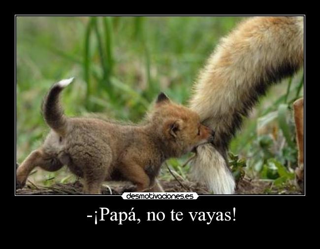 -¡Papá, no te vayas! -