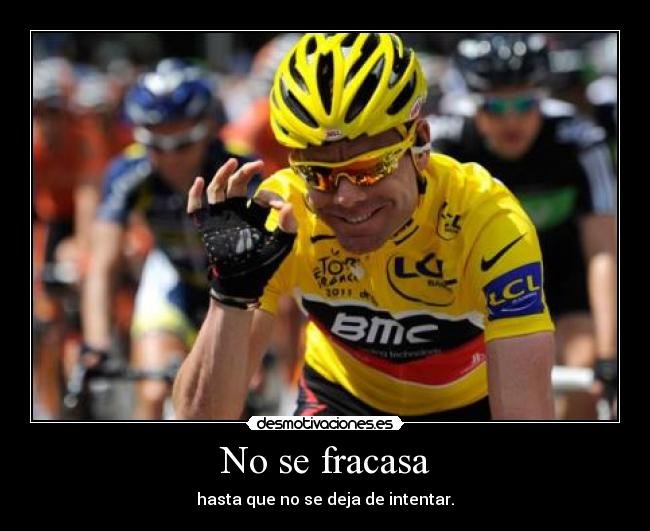 No se fracasa -