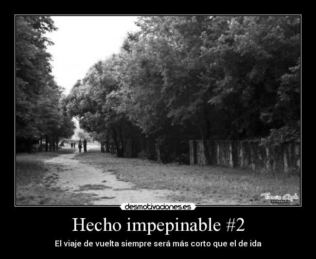 Hecho impepinable #2 - 