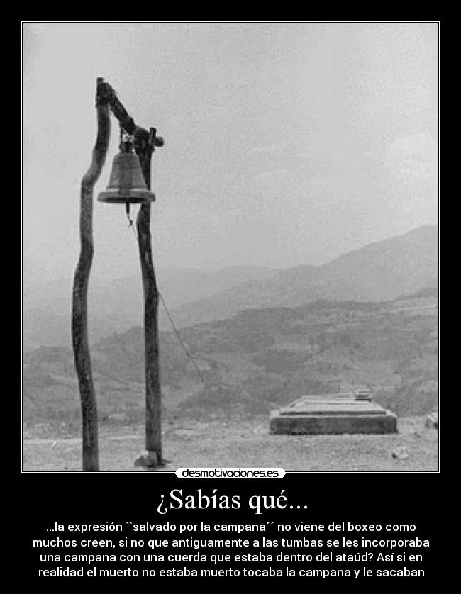 ¿Sabías qué... -