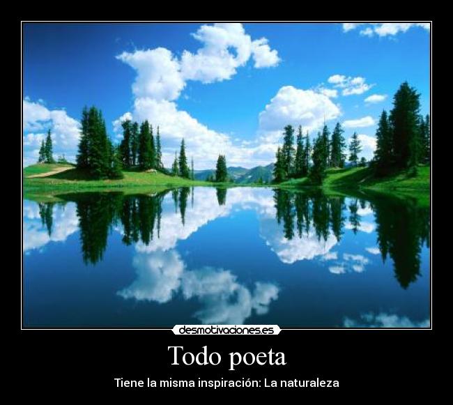 Todo poeta -