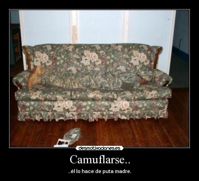 Camuflarse.. -