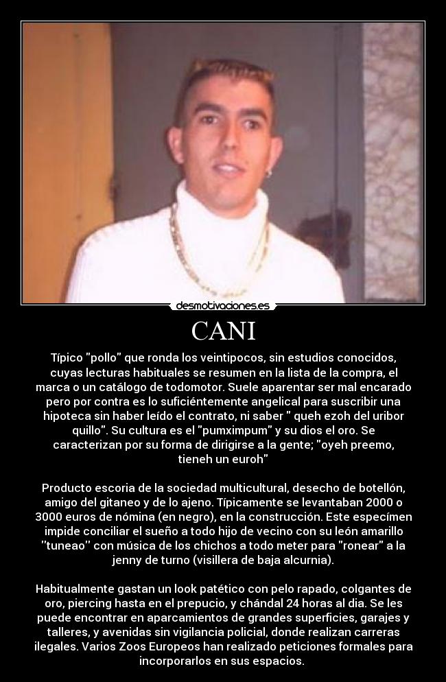 CANI - Típico pollo que ronda los veintipocos, sin estudios conocidos,
cuyas lecturas habituales se resumen en la lista de la compra, el
marca o un catálogo de todomotor. Suele aparentar ser mal encarado
pero por contra es lo suficiéntemente angelical para suscribir una
hipoteca sin haber leído el contrato, ni saber queh ezoh del uribor
quillo. Su cultura es el pumximpum y su dios el oro. Se
caracterizan por su forma de dirigirse a la gente; oyeh preemo,
tieneh un euroh
Producto escoria de la sociedad multicultural, desecho de botellón,
amigo del gitaneo y de lo ajeno. Típicamente se levantaban 2000 o
3000 euros de nómina (en negro), en la construcción. Este especímen
impide conciliar el sueño a todo hijo de vecino con su león amarillo
tuneao con música de los chichos a todo meter para ronear a la
jenny de turno (visillera de baja alcurnia).
Habitualmente gastan un look patético con pelo rapado, colgantes de
oro, piercing hasta en el prepucio, y chándal 24 horas al dia. Se les
puede encontrar en aparcamientos de grandes superficies, garajes y
talleres, y avenidas sin vigilancia policial, donde realizan carreras
ilegales. Varios Zoos Europeos han realizado peticiones formales para
incorporarlos en sus espacios.