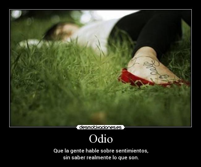 Odio - 