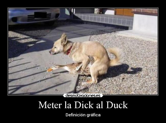 Meter la Dick al Duck - 