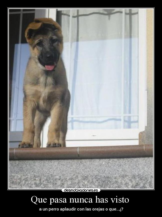 Que pasa nunca has visto  - 