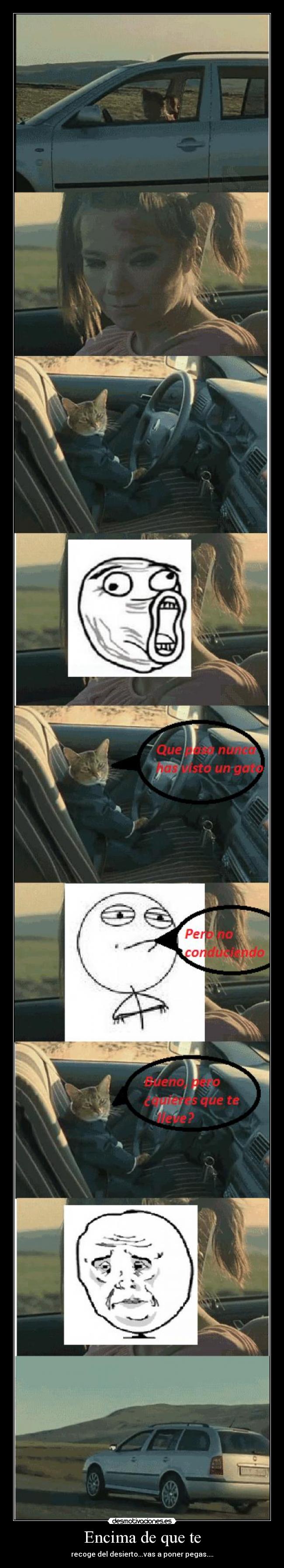 Encima de que te - recoge del desierto...vas a poner pegas....