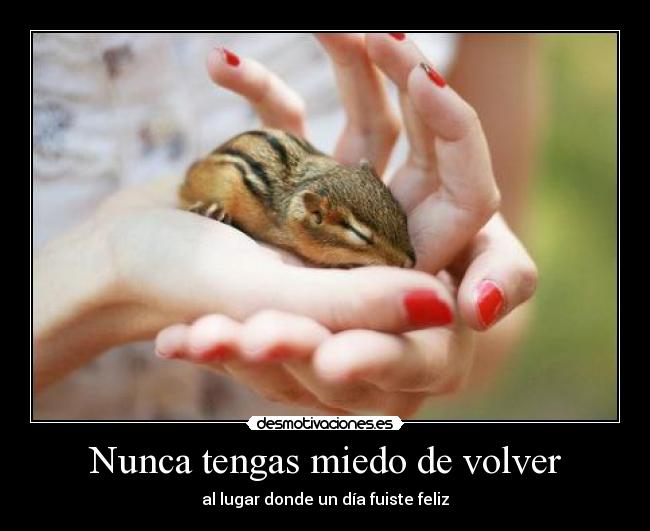 Nunca tengas miedo de volver -