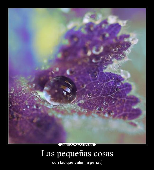 Las pequeñas cosas -