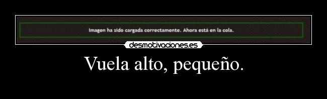 Vuela alto, pequeño. -