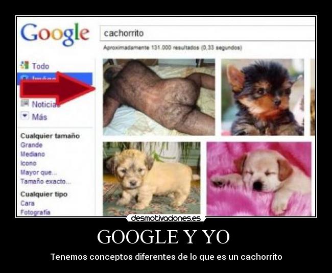 GOOGLE Y YO -