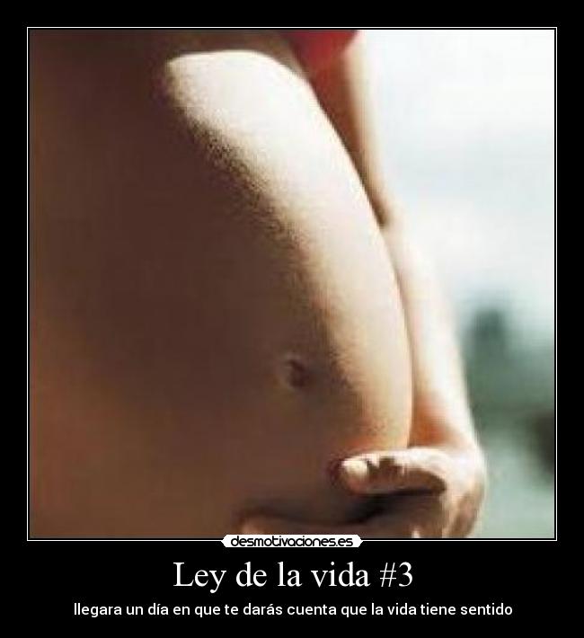 Ley de la vida #3 - 