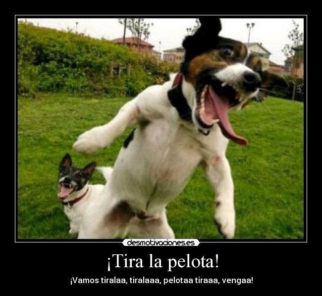 carteles  desmotivaciones