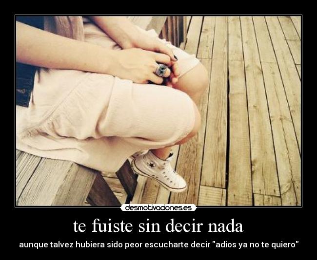 te fuiste sin decir nada -