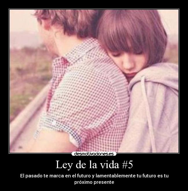 Ley de la vida #5 -